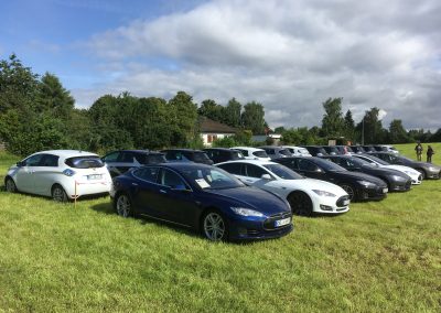 Renault ZOE und Tesla geparkt auf einer Wiese bei einem Treffen
